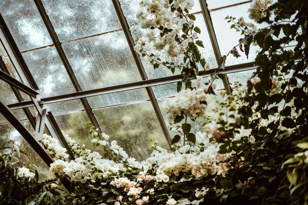 greenhouse-blossoms_925x@2x
